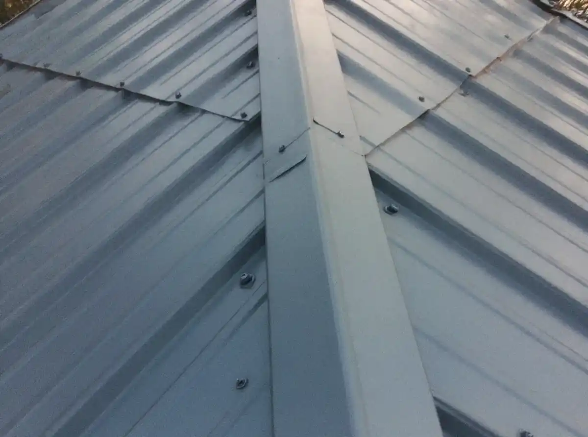 Exposed fastener metal roof panel showing screw heads and panel ribs