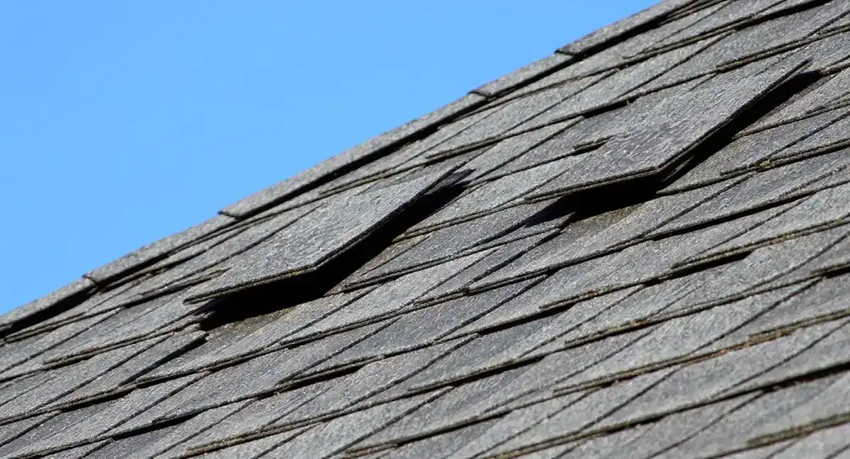 Missing or Cracked Shingles