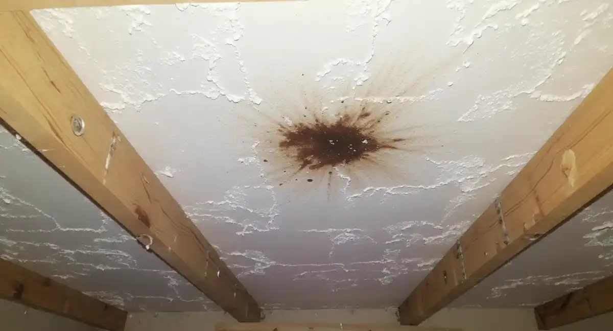 Water Stains on Ceilings or Walls